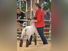Jaceen  Zion  High Plains 4-H Club