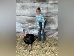 Kezzie  Serven   Ranchin Rookies 4H