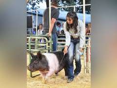 Karina  Vidales  Kiowa Community 4-H Club