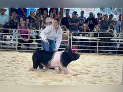 Madison  Wear  Elbert Creekside