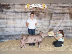 Blayze  Potestio  Rattlesnake 4H