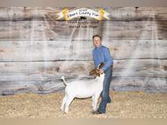 Liam  Hayes  Gold Creek 4H Club