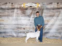 Stockton  Musgrove  Ranchin' Rookies