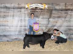 Landree  Cox  Rural Rustlers