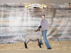 Preston   Fuchs  Elbert Creekside 4-H Club