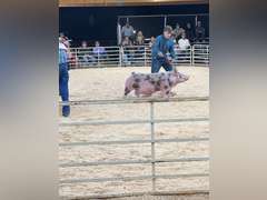 Hayden  Pfost  Rural Rustlers