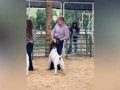 Sadie  McWhorter  Ranchin Rookies
