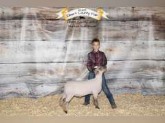 Michael  Lawson  Elbert Creekside