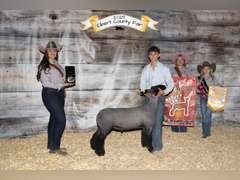 Tyson   Pfost   Rural Rustlers
