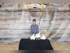 Wyatt  Palmer  Sun Country 4H