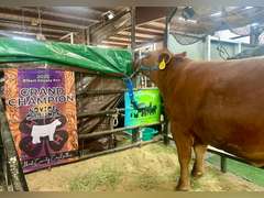 Katryna   Reitzig   Ranchin’ Rookies