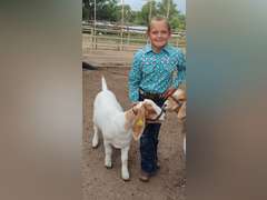 Kiera   Arnold   Sun Country 4H