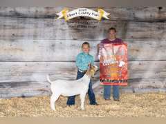 Kiera   Arnold   Sun Country 4H