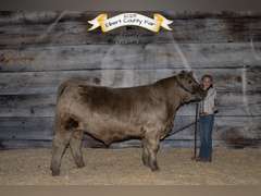 Adah  Anderson  Gold Creek 4H