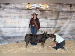 Abigail  Cabrera  Gold Creek 4H