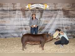 Tabitha  Cabrera  Gold Creek 4-H