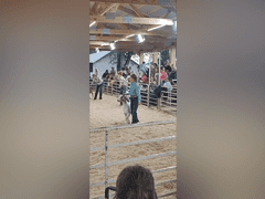 Kiera   Arnold   Sun Country 4H