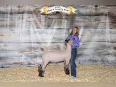 Payton   Monks  Rural Rustlers