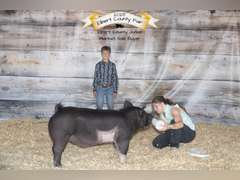 Ashtin  Sellers  Rural Rustlers