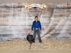 Sully  Cutter  Running Creek 4-H Club