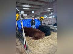 Tucker   Sedlak  Rural Rustlers