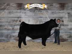 Wade  White  Kiowa Community 4-H Club