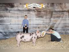 Bayne  Potestio  Rattlesnake 4H