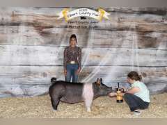 Karina  Vidales  Kiowa Community 4-H Club