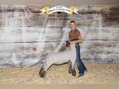 Harlan   Summers  Kiowa Community