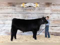 Case  Carnahan  Kiowa Community 4-H