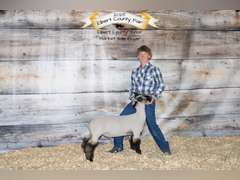 Quinn  Weil  Kiowa Community 4H Club