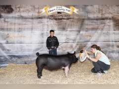 Benicio  Guevara-Hudson  Rattlesnake 4-H Club