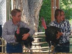 Eli  Thomas  Sun Country 4H Club