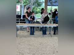 Addison  Joest  Kiowa Community 4-H Club