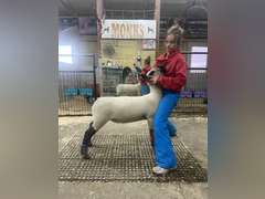 Payton   Monks  Rural Rustlers