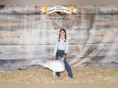 Addison  Joest  Kiowa Community 4-H Club