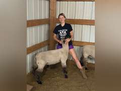 Randi  Carson  Rural Rustlers 4H