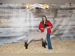 Jaceen  Zion  High Plains 4-H Club