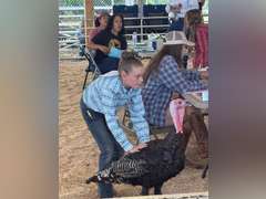 Kezzie  Serven   Ranchin Rookies 4H