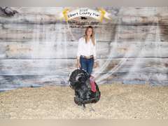 Leilah  Tunink  Rural Rustler 4-H Club
