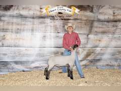 Landon  Offutt  Rural Rustlers 4h Club