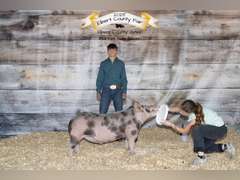 Hayden  Pfost  Rural Rustlers