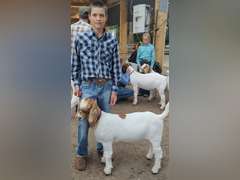 Collin  Arnold   Sun Country 4H
