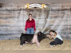 Madison  Wear  Elbert Creekside