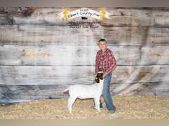 Wyatt  Lindauer  Rattlesnake