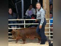 Tabitha  Cabrera  Gold Creek 4-H