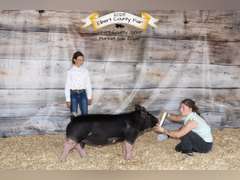Bailey  Riniker  Kiowa Community 4H