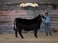 Dezmond  Aviles  Comanche Creek