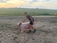 Kolton  Newton  High Plains 4H