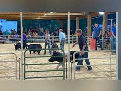 Van  Cutter  Running Creek 4-H Club